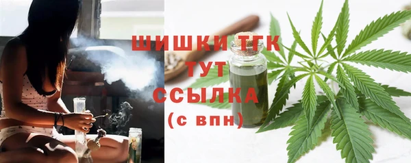 прущие грибы Киреевск
