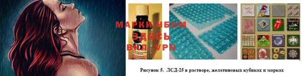 стаф Пересвет