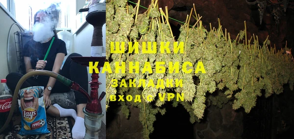 прущие грибы Киреевск