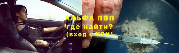 прущие грибы Киреевск