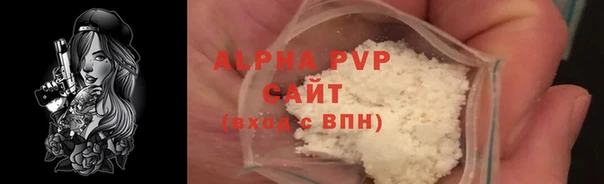 прущие грибы Киреевск