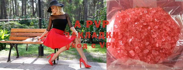 прущие грибы Киреевск