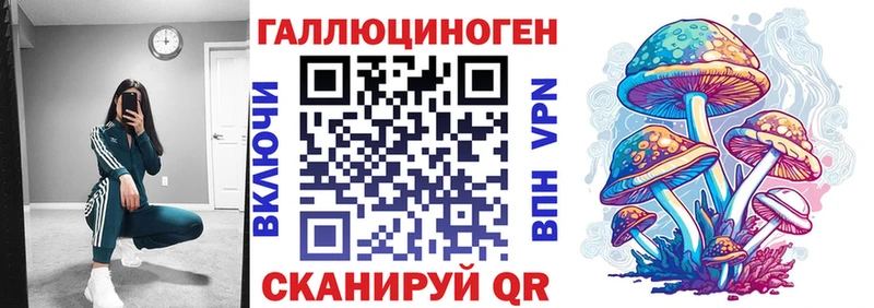 Псилоцибиновые грибы GOLDEN TEACHER  Купить закладки  Буй 